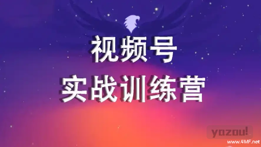 2024视频号训练营 网盘下载