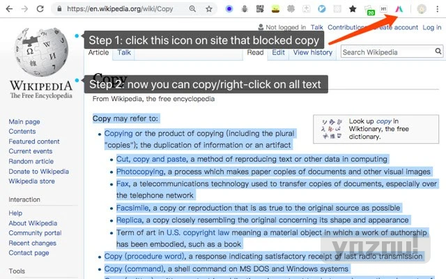 Simple Allow Copy - 浏览器插件 允许复制网页的任何内容