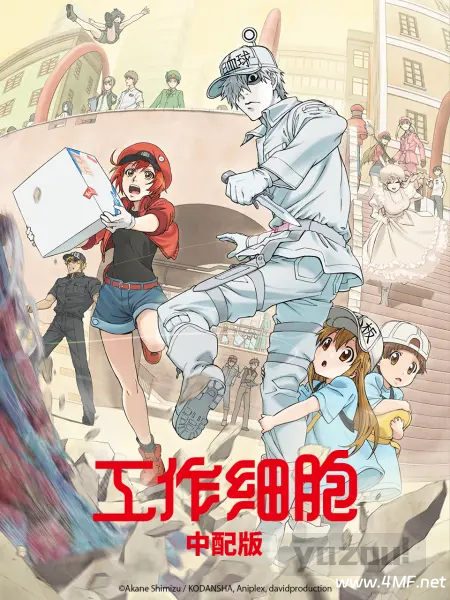 动画片 工作细胞 第一季（中配版）