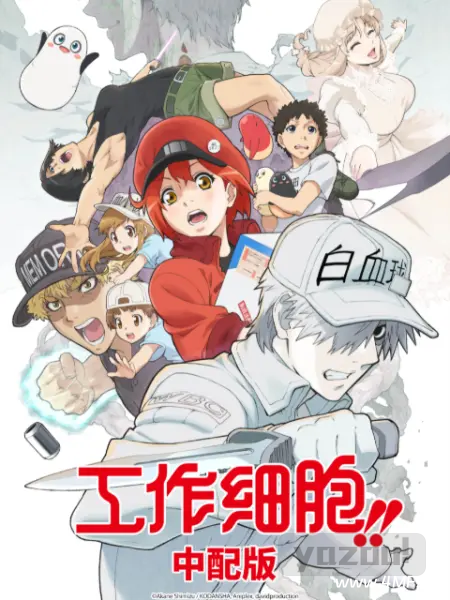 动画片 工作细胞 第二季（中配版）